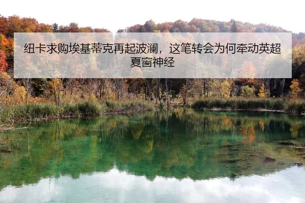 img_1783741067292_81_1_829.jpg